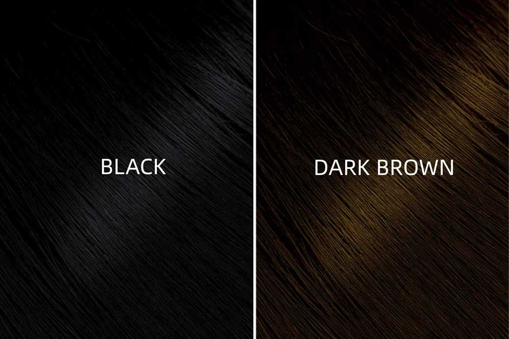 Black Vs Dark Brown Hair Which One Is More Worth Trying Bgmgirl 