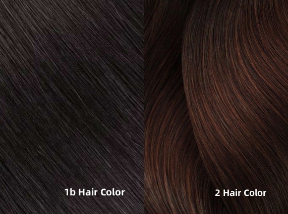 hair-color-1b