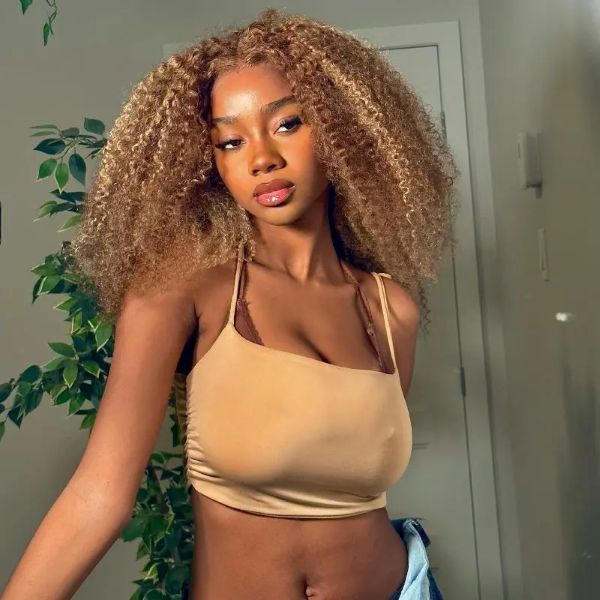 highlight kinky curly short bob wigs