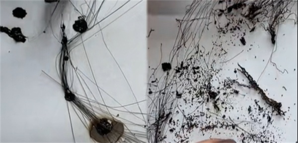 synthetic hair bundles vs human hair bundles burn test